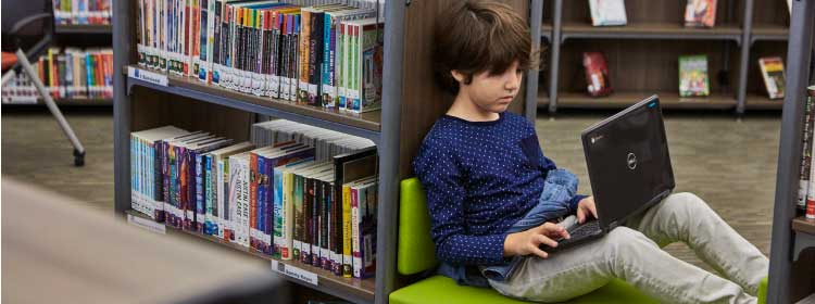 Safeguard students and data.