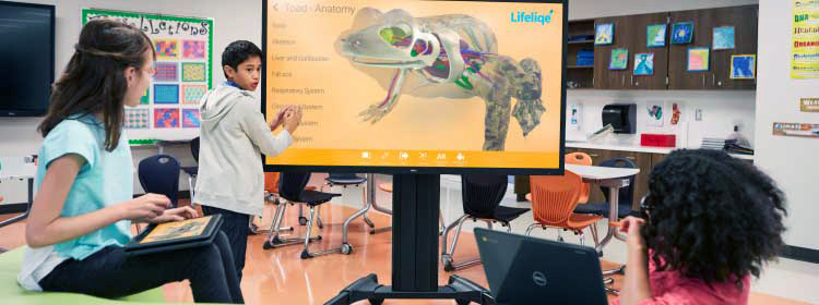 Create active learning spaces.